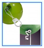 Access2